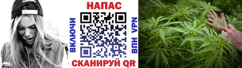 Купить наркоту Аргун А ПВП  Cocaine  Меф мяу мяу  Псилоцибиновые грибы  mega сайт  Гашиш 