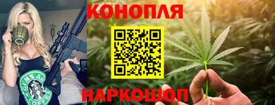 сатива Апшеронск