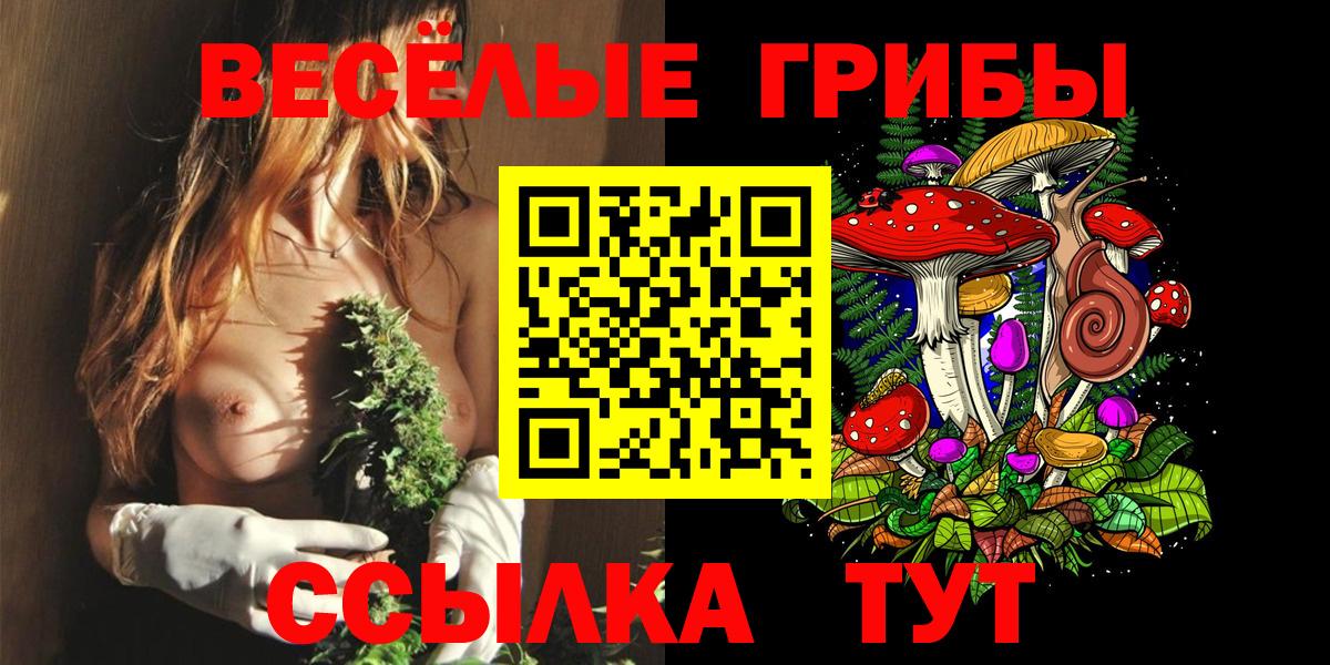 Псилоцибиновые грибы Psilocybine cubensis  Аргун 