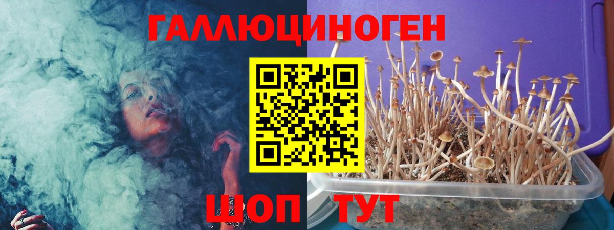 Псилоцибиновые грибы MAGIC MUSHROOMS Аргун