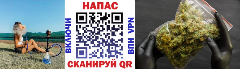 Конопля SATIVA & INDICA Аргун